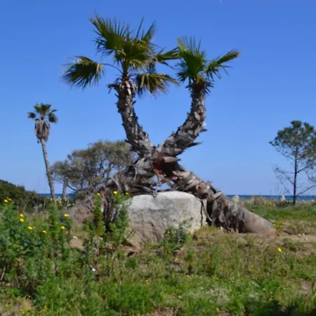 Maison Individuel Sur Propriété Au Bord De Mer Biguglia (Corsica)